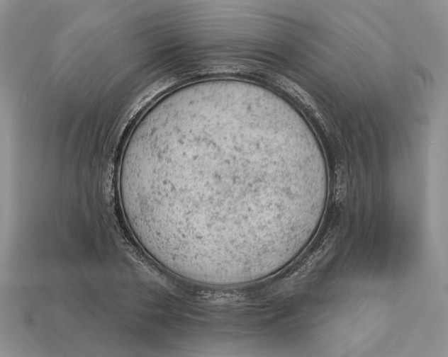 X0000112780786200909101611