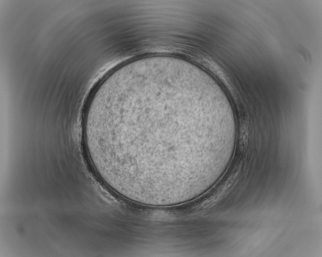 X0000112780787200909101611