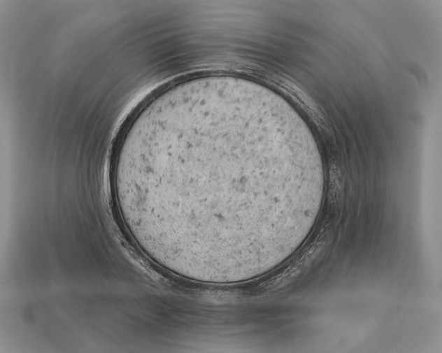 X0000112780788200909101611