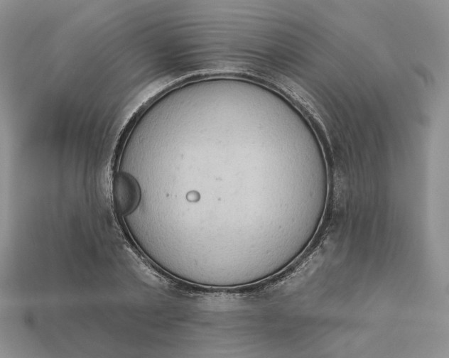 X0000112780789200909101611