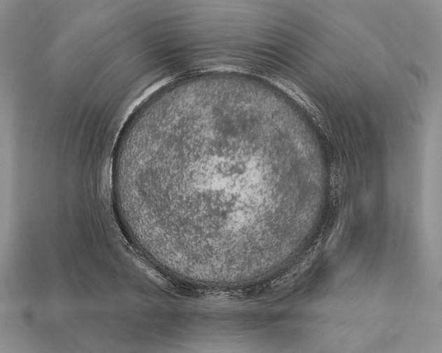 X0000112780790200909101611