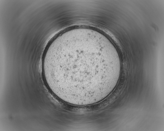 X0000112780791200909101611