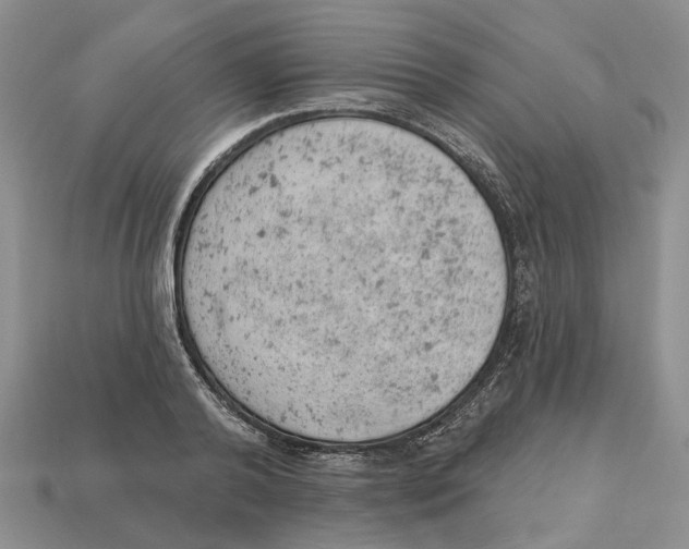 X0000112780792200909101611