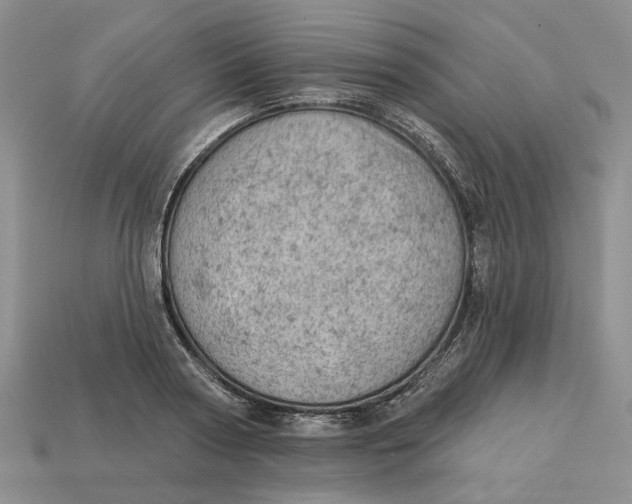 X0000112780794200909101611