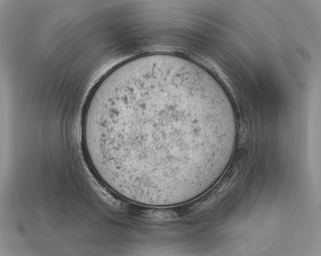 X0000112780795200909101611