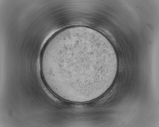 X0000112780796200909101611