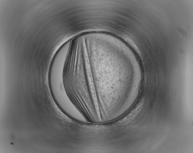 X0000112780797200909101611