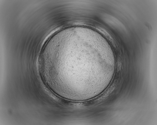 X0000112780798200909101611