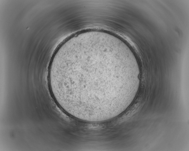 X0000112780799200909101611