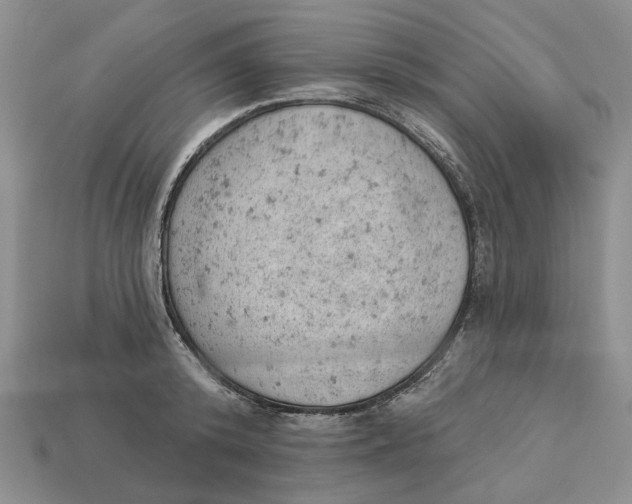 X0000112780800200909101611