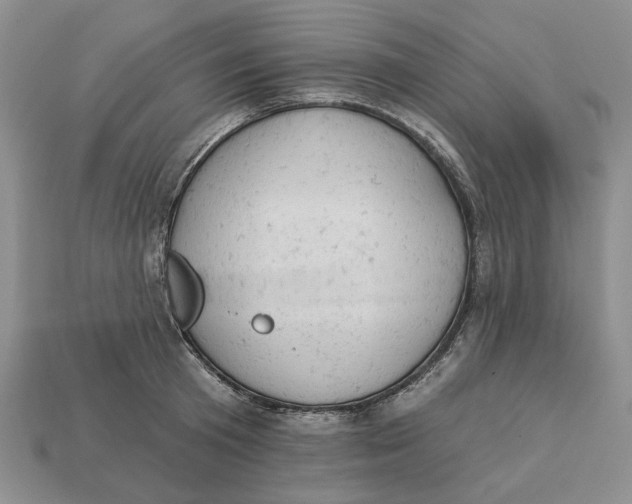 X0000112780801200909101611