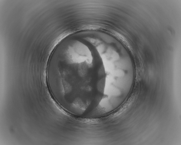 X0000112780802200909101611