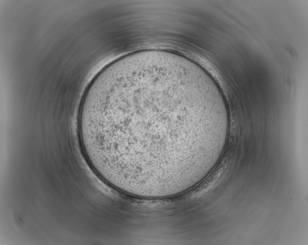 X0000112780803200909101611