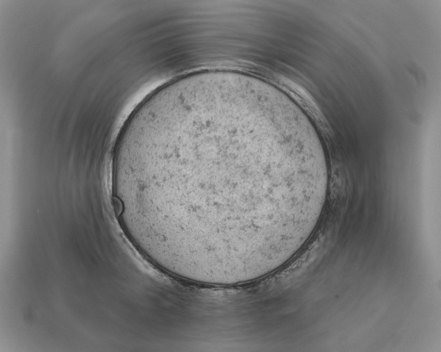 X0000112780804200909101611