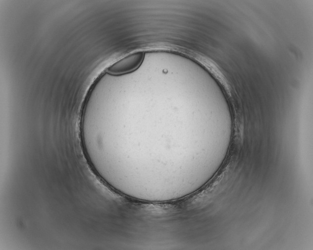 X0000112780805200909101611