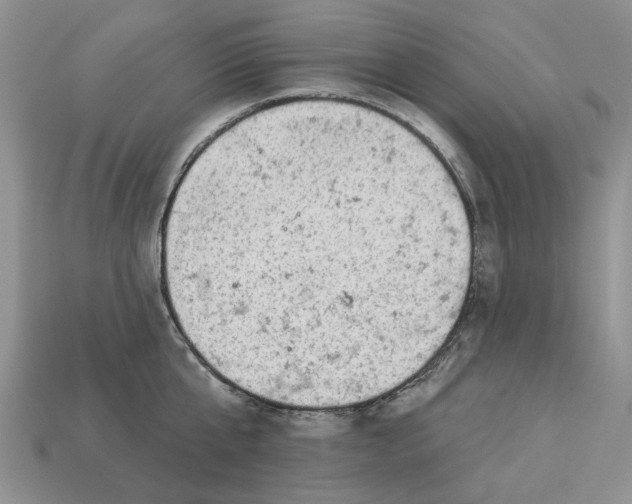 X0000112780807200909101611