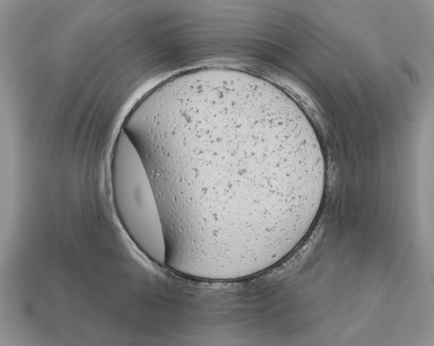 X0000112780808200909101611