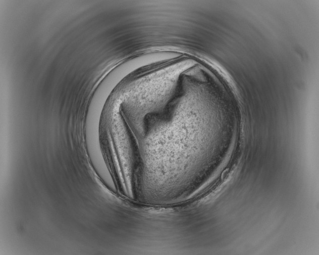 X0000112780809200909101611