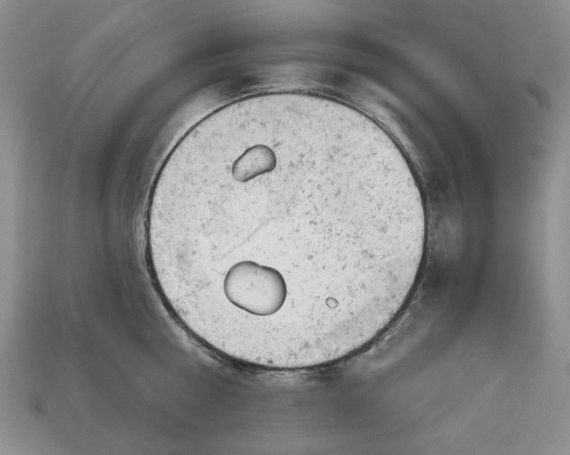 X0000112780810200909101611