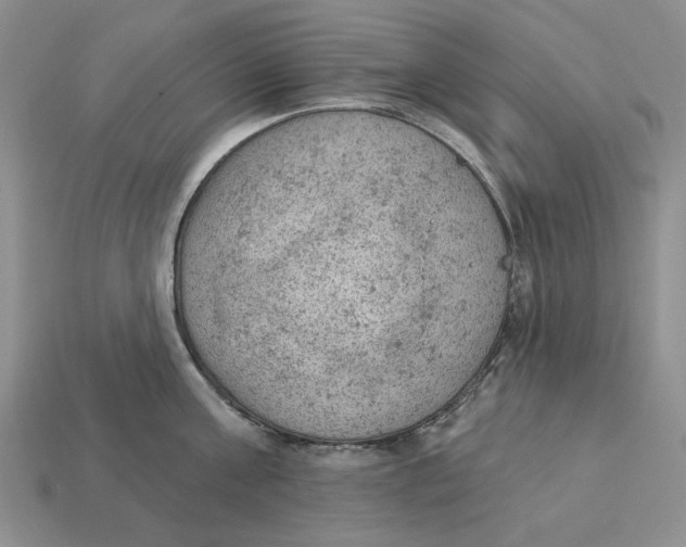 X0000112780811200909101611