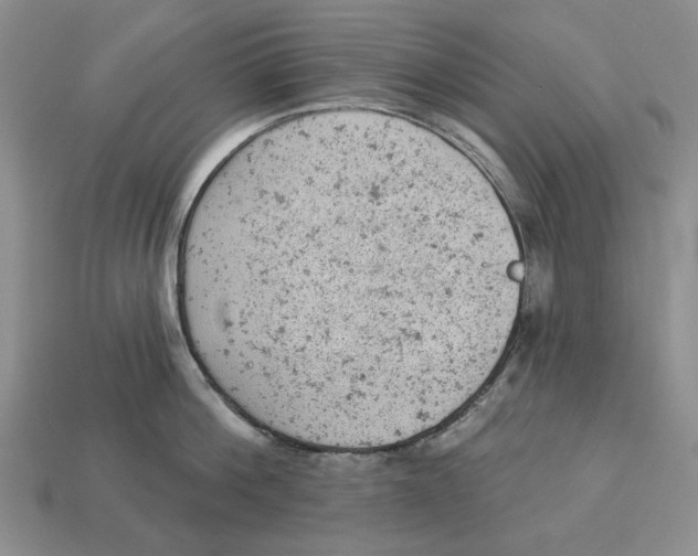 X0000112780812200909101611