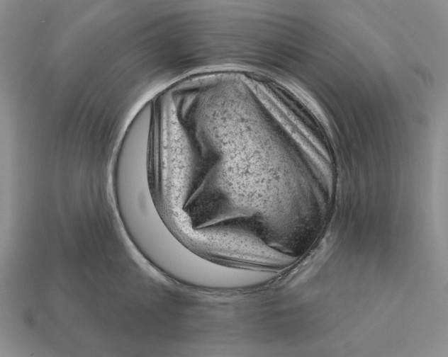 X0000112780813200909101611