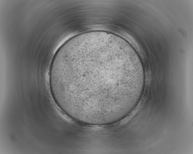 X0000112780814200909101611