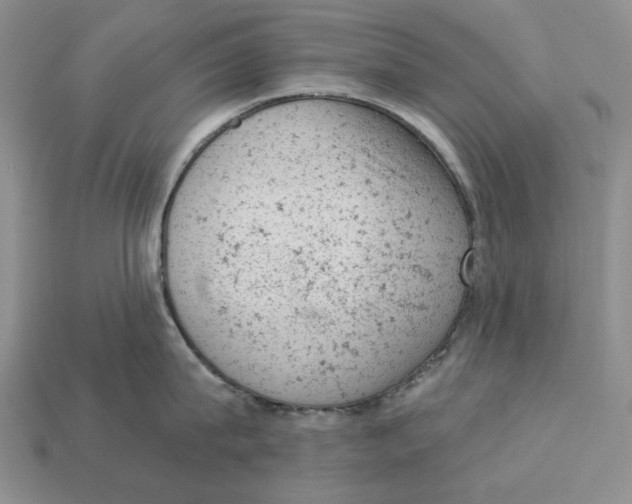 X0000112780815200909101611