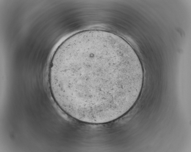 X0000112780816200909101611