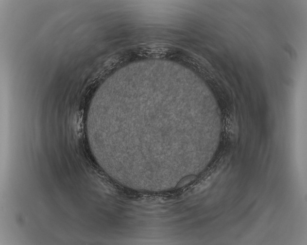 X0000112780818200909101610