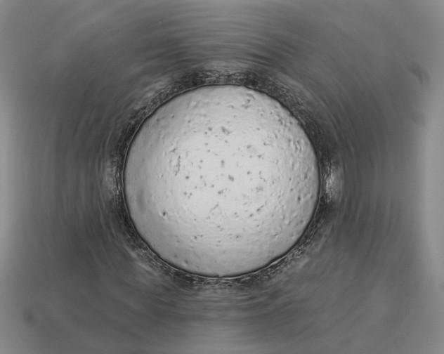 X0000112780819200909101610