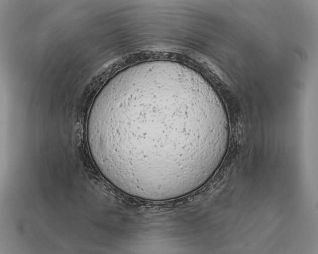 X0000112780821200909101610