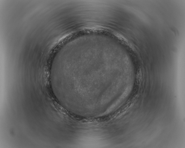 X0000112780822200909101610