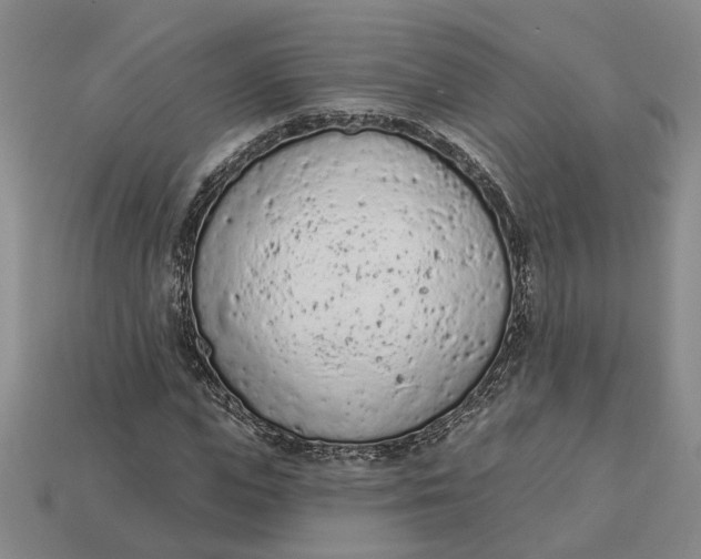 X0000112780823200909101610