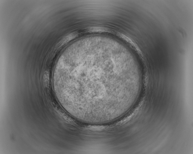 X0000112780825200909101610