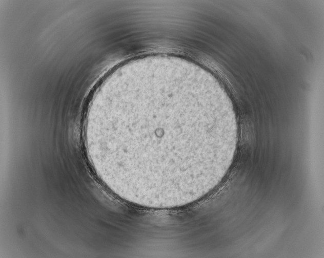 X0000112780828200909101610