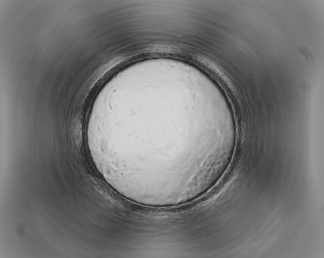 X0000112780829200909101610