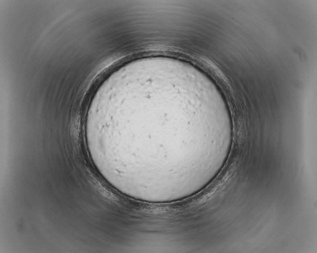 X0000112780831200909101610