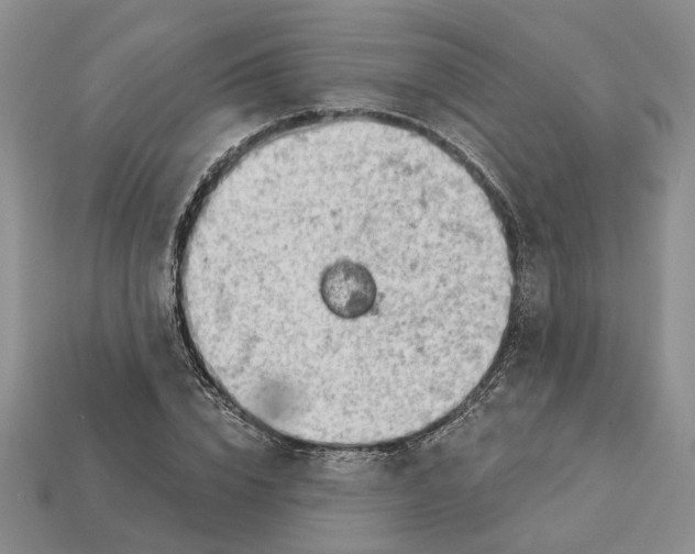 X0000112780832200909101610