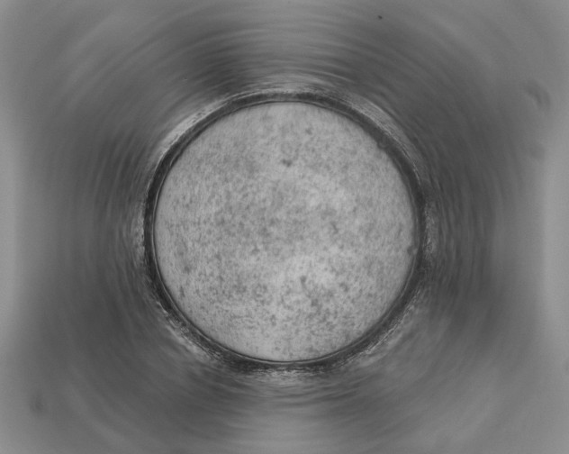 X0000112780834200909101611