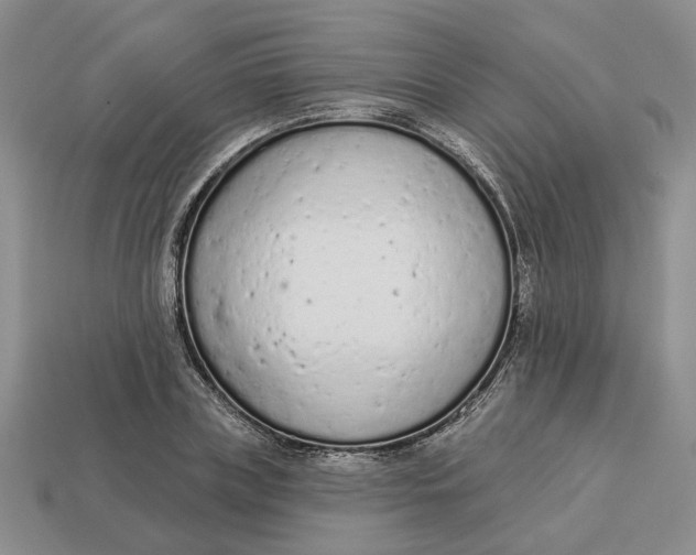 X0000112780835200909101611