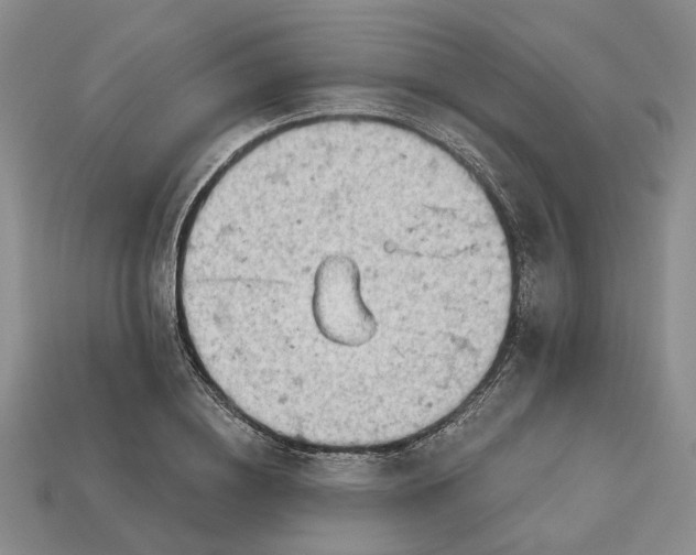 X0000112780836200909101611