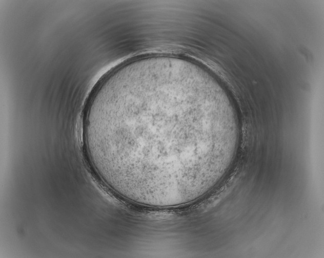 X0000112780838200909101611