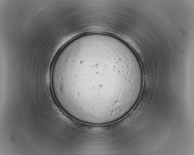 X0000112780839200909101611