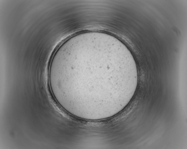 X0000112780840200909101611