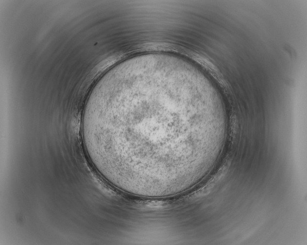 X0000112780841200909101611