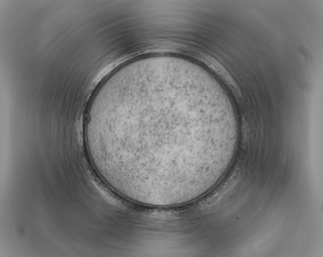 X0000112780842200909101611