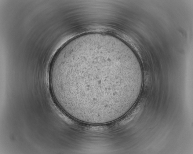 X0000112780843200909101611