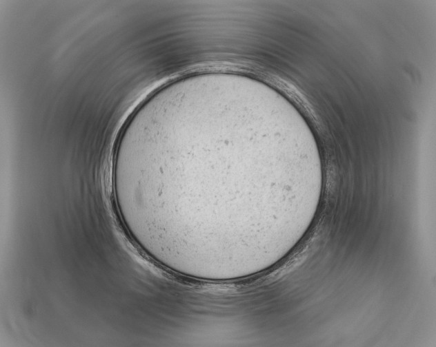 X0000112780844200909101611