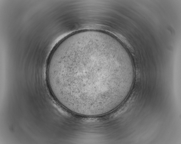 X0000112780846200909101611